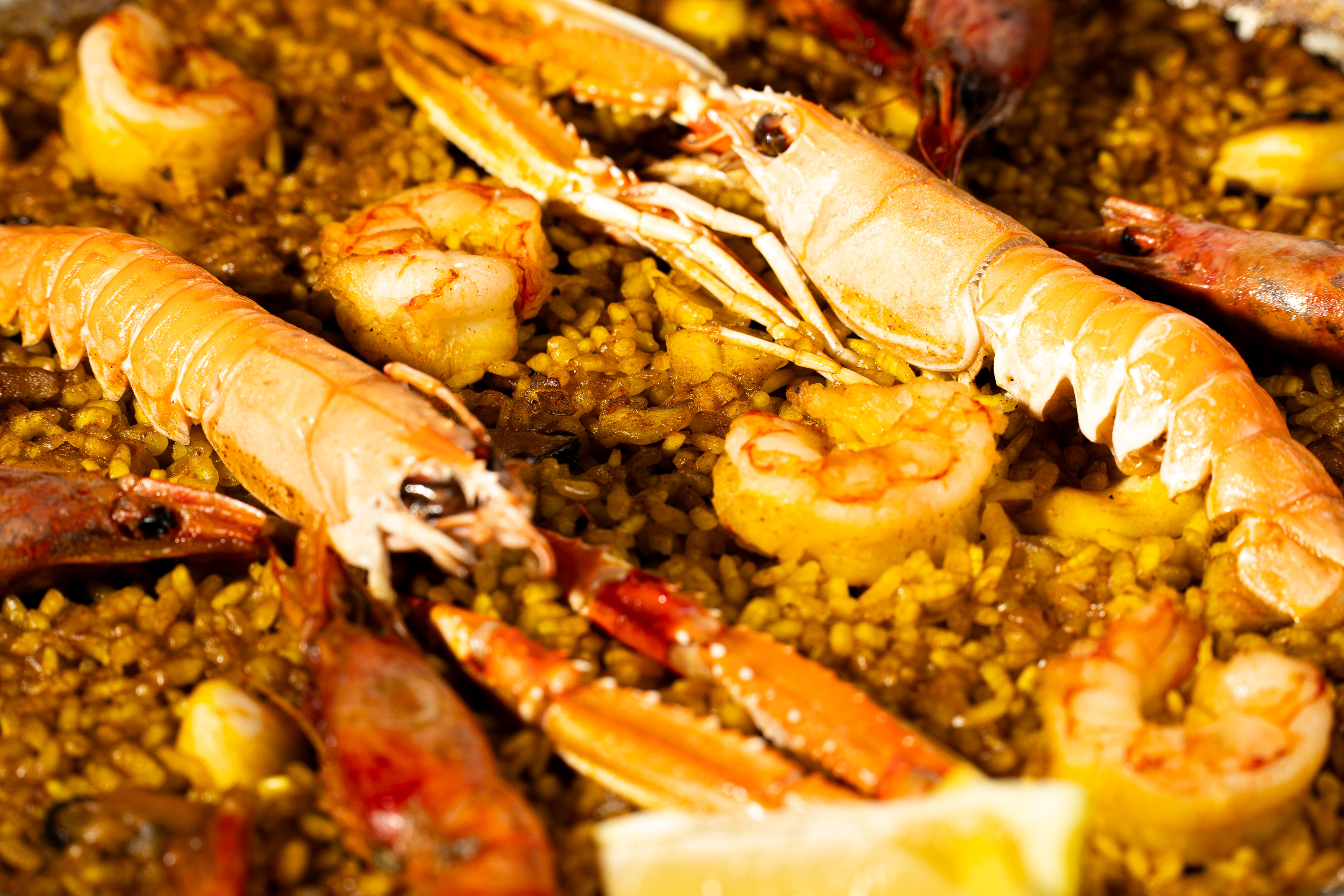 Fotografia de Gastronomía en Valencia